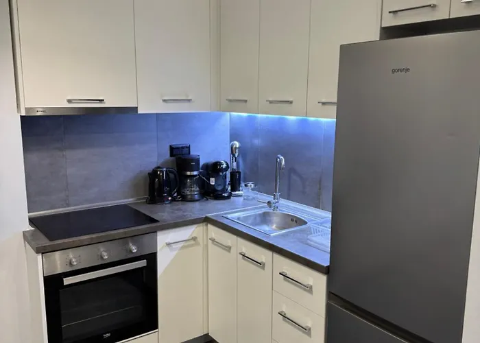 Inu # Wait Fresh And New